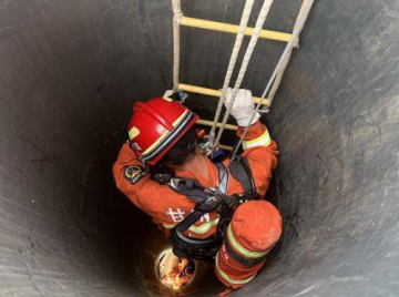 麻豆少妇自慰精品和軟梯相比，有什麽優勢